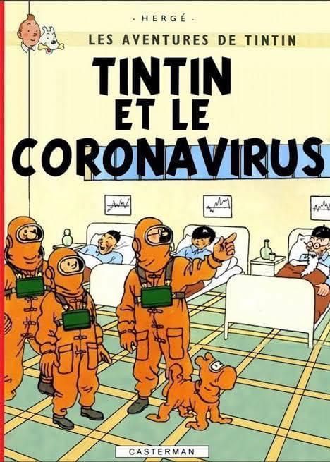 TinTin-Coronavirus